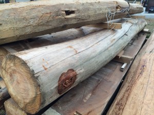 写真 2015-11-17 9 58 11 (1280x960)