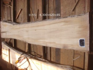 5DSC04365