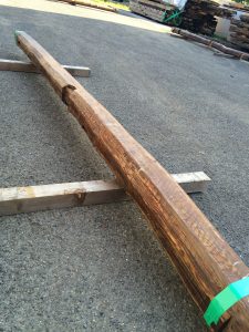 写真 2016-06-23 16 27 46