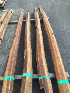 写真 2016-06-23 16 36 42