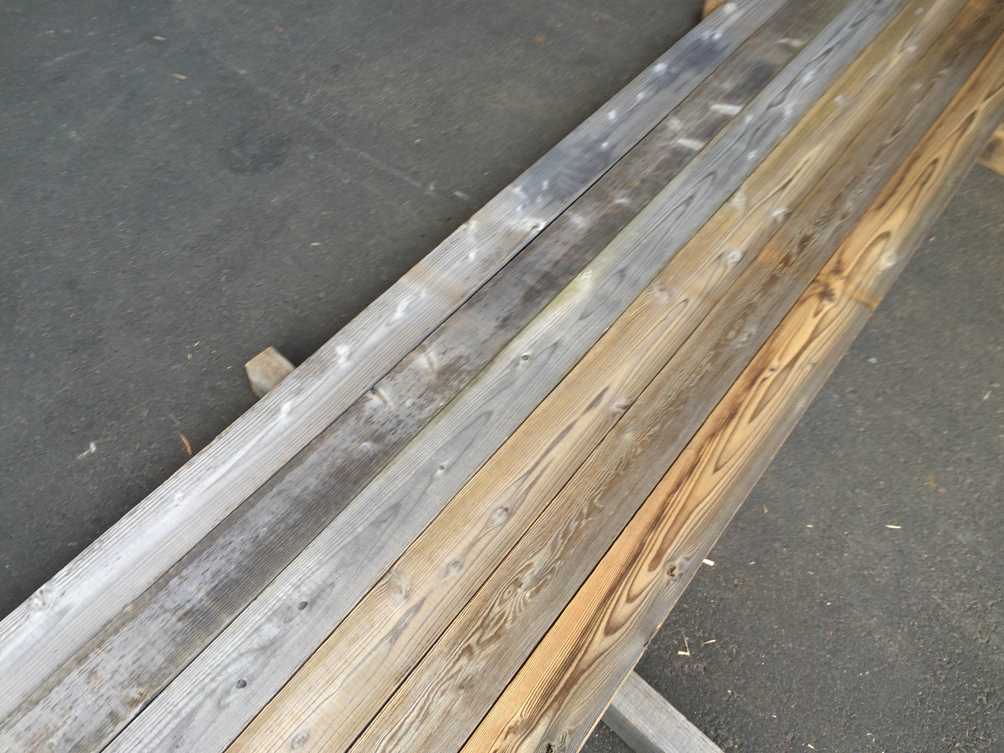 写真 2016-07-02 9 37 19