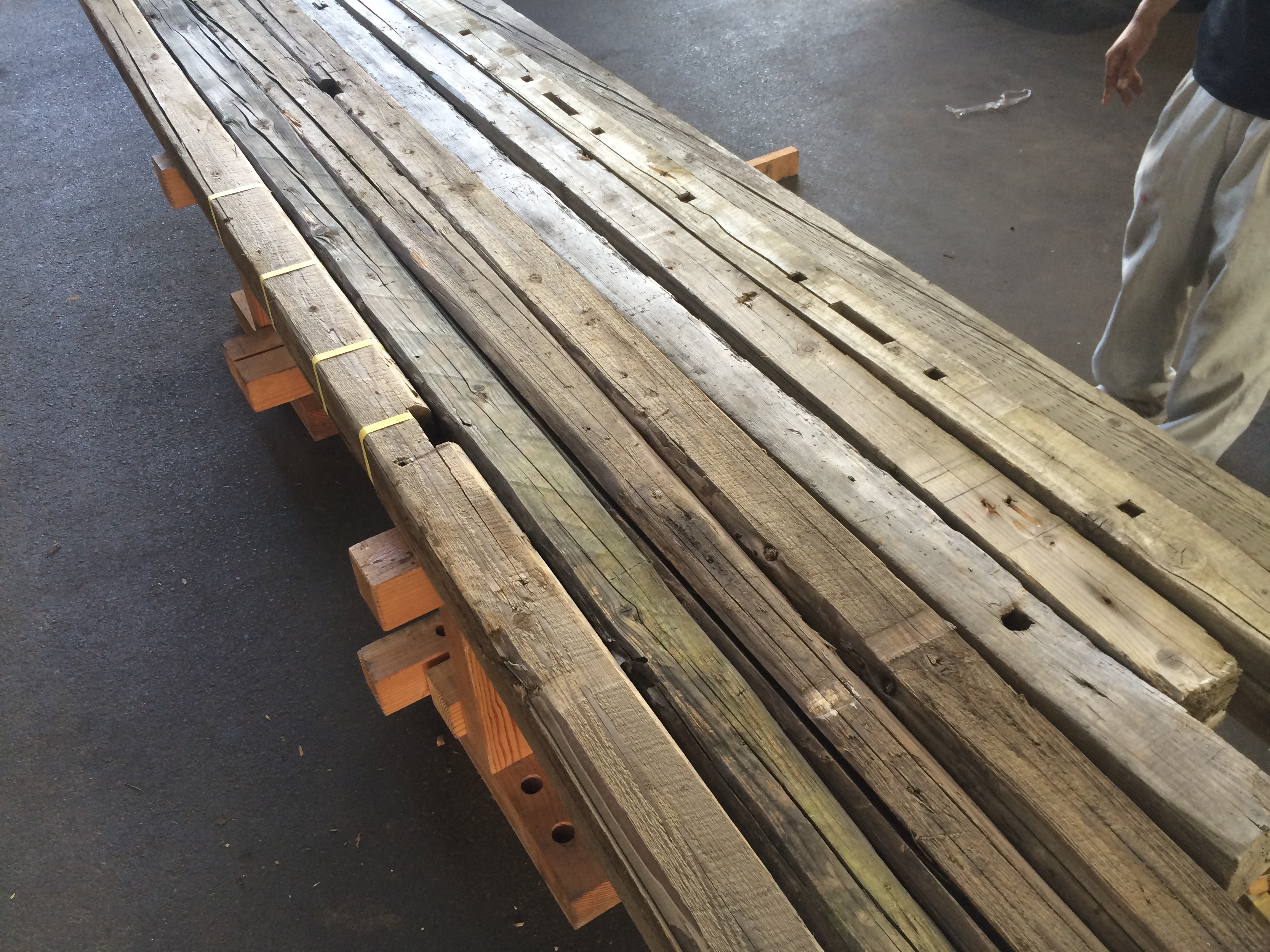 写真 2016-08-22 14 06 14