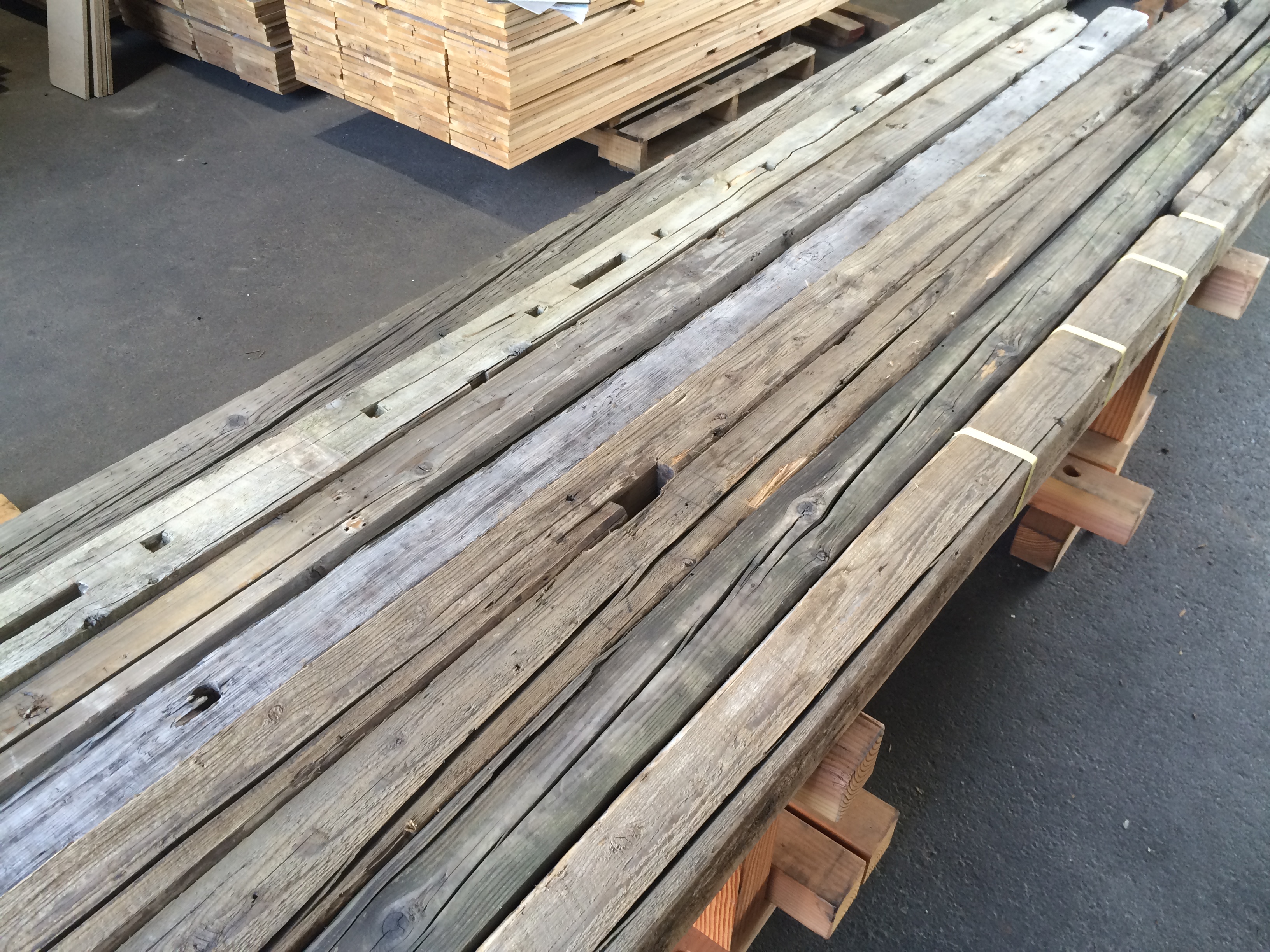 写真 2016-08-22 14 06 22